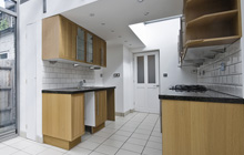 Codmore Hill kitchen extension leads